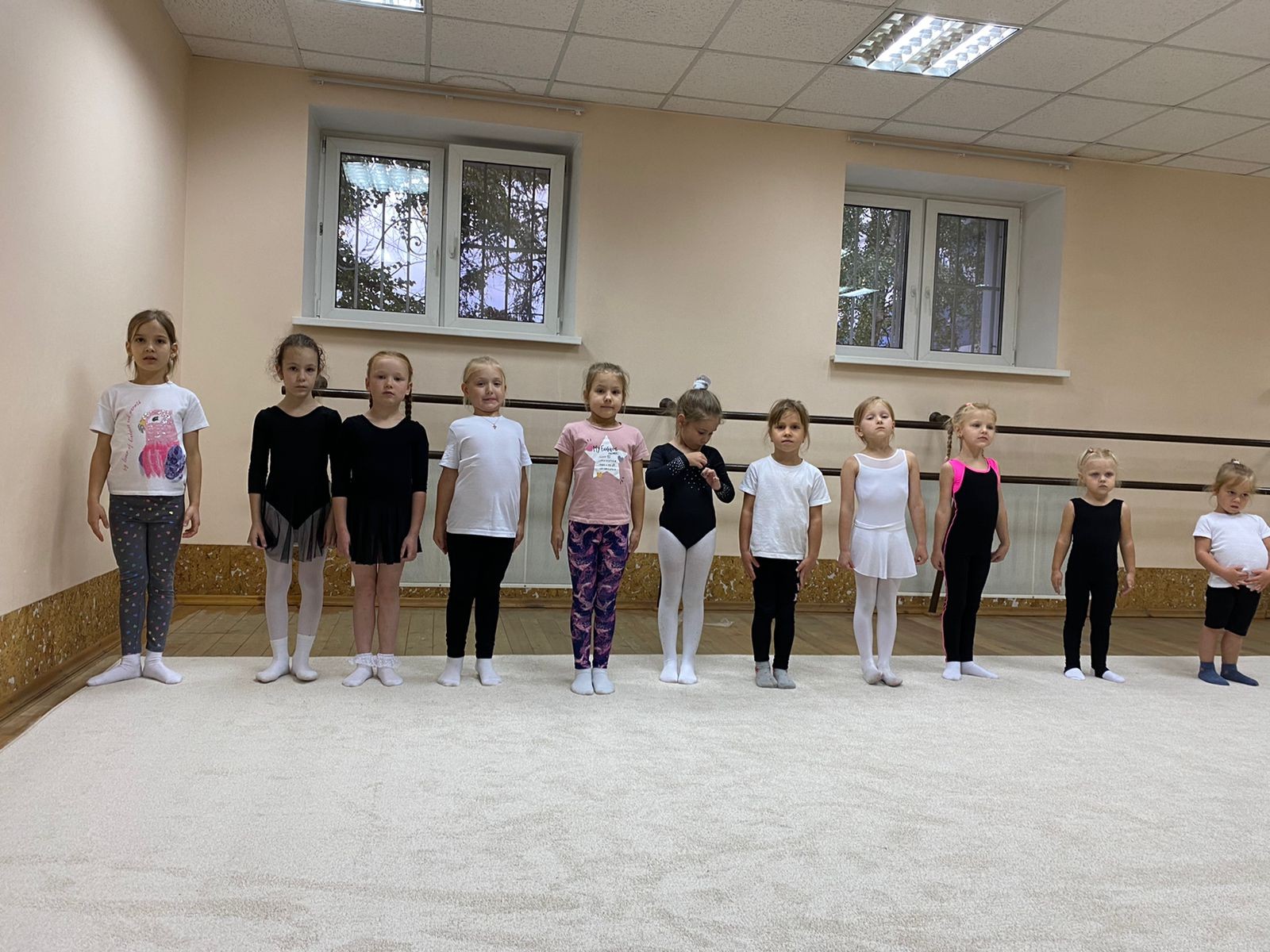 Ковер гимнастический GYMSPORT PROF 14Х14