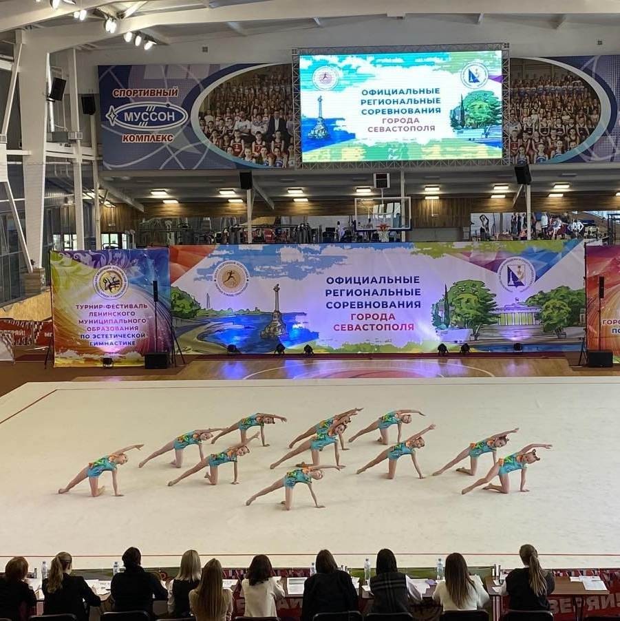 Ковер гимнастический GYMSPORT PROF PREMIUM 4х3м