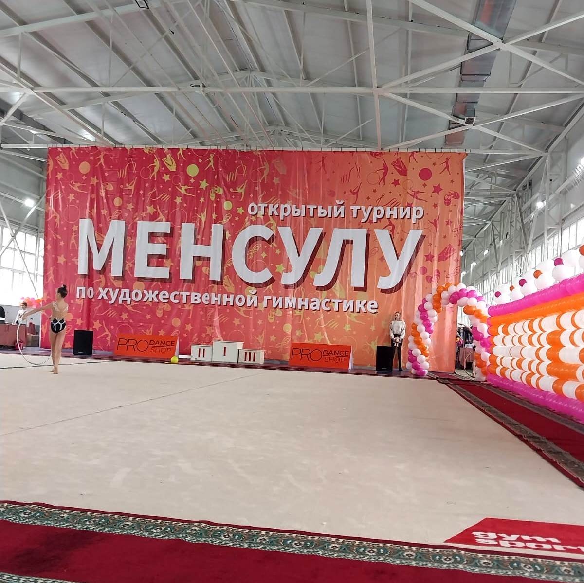 Ковер для гимнастики GYMSPORT PROF PREMIUM 8х8м