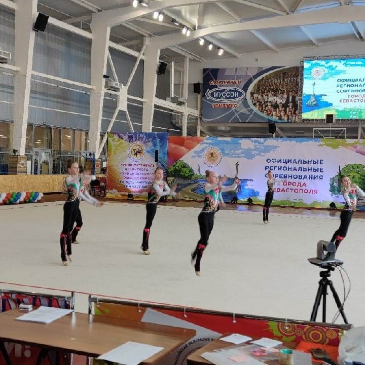 Ковер для художественной гимнастики GYMSPORT PROF PREMIUM 8х6м