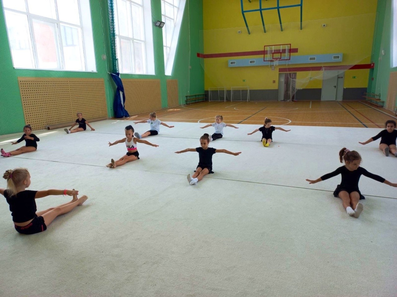 Ковер гимнастический GYMSPORT PROF 14Х14