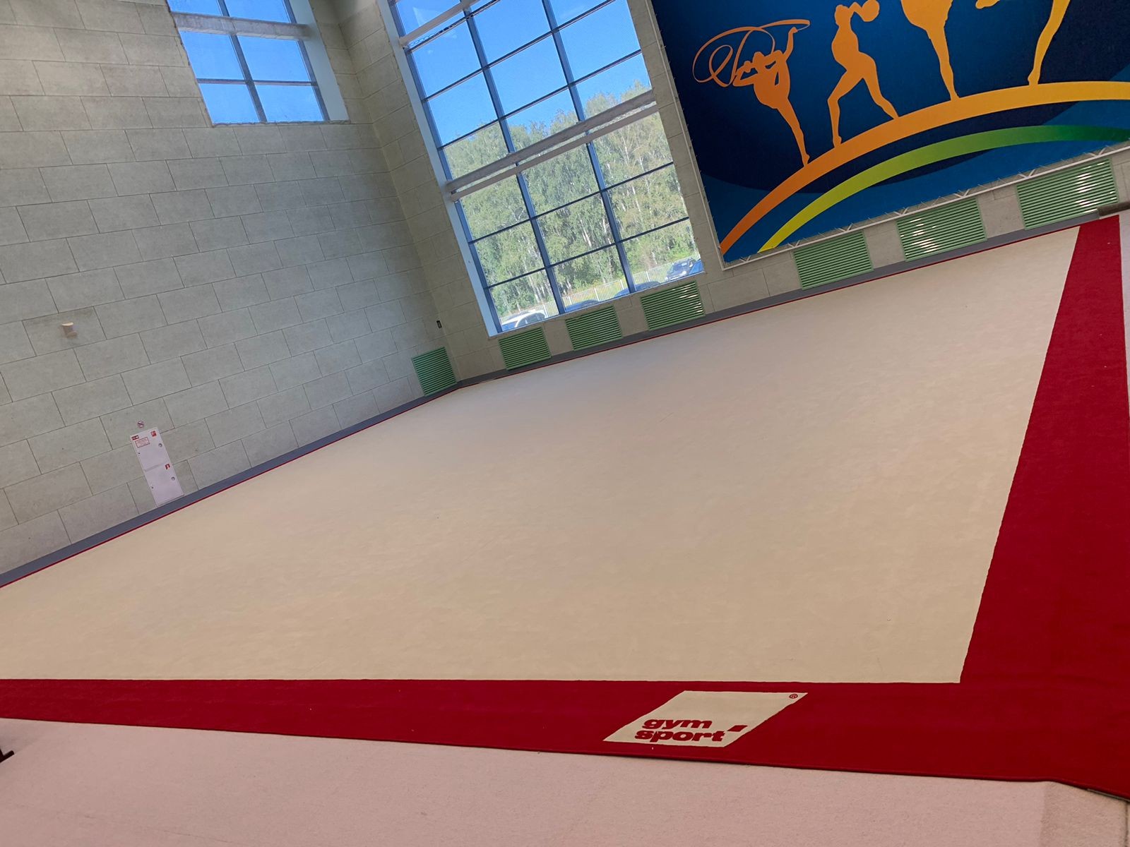 Соревновательный ковер для художественной гимнастики GYMSPORT PROF PREMIUM RED 14Х14