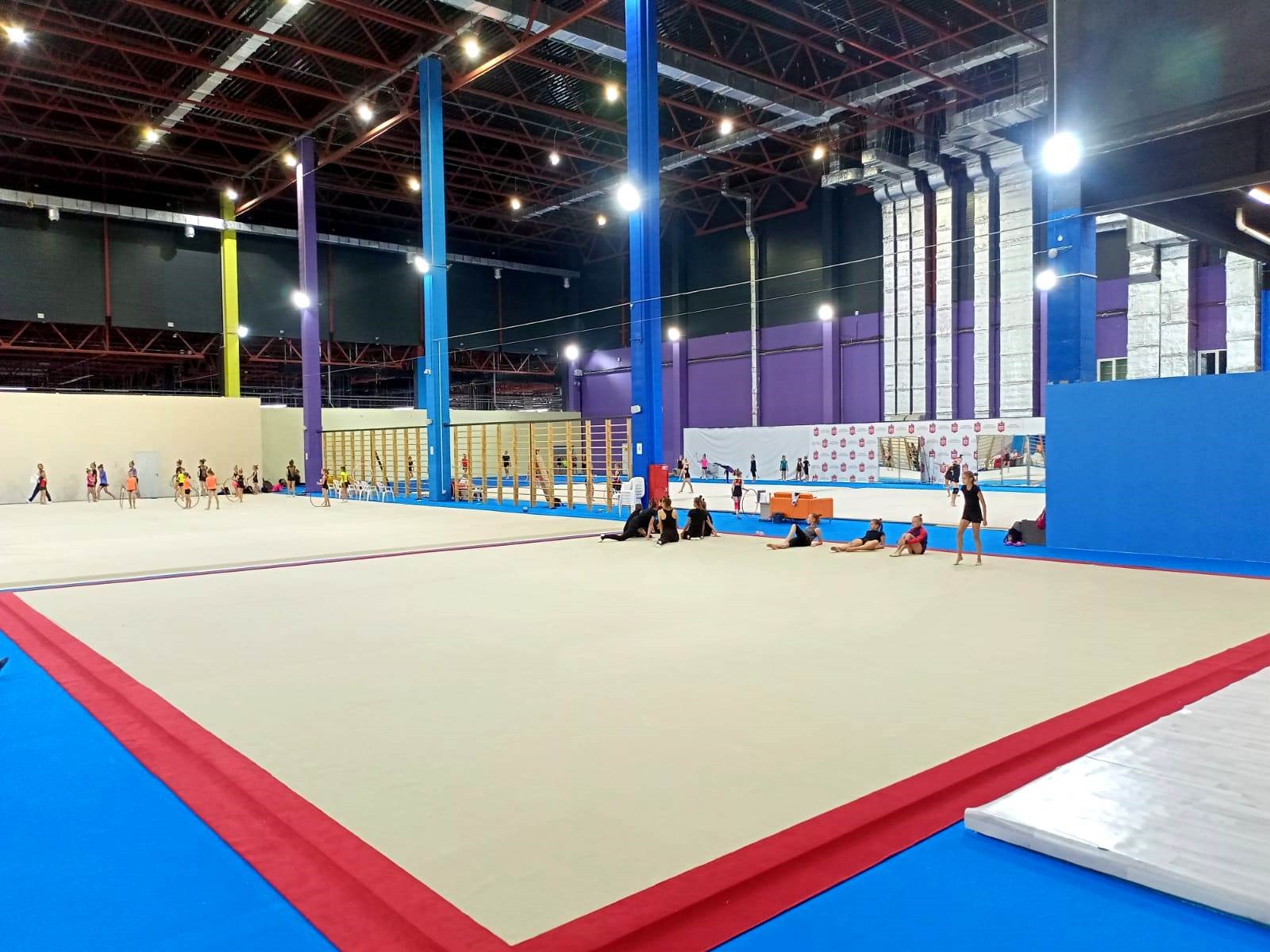 Соревновательный ковер для художественной гимнастики GYMSPORT PROF PREMIUM RED 14Х14