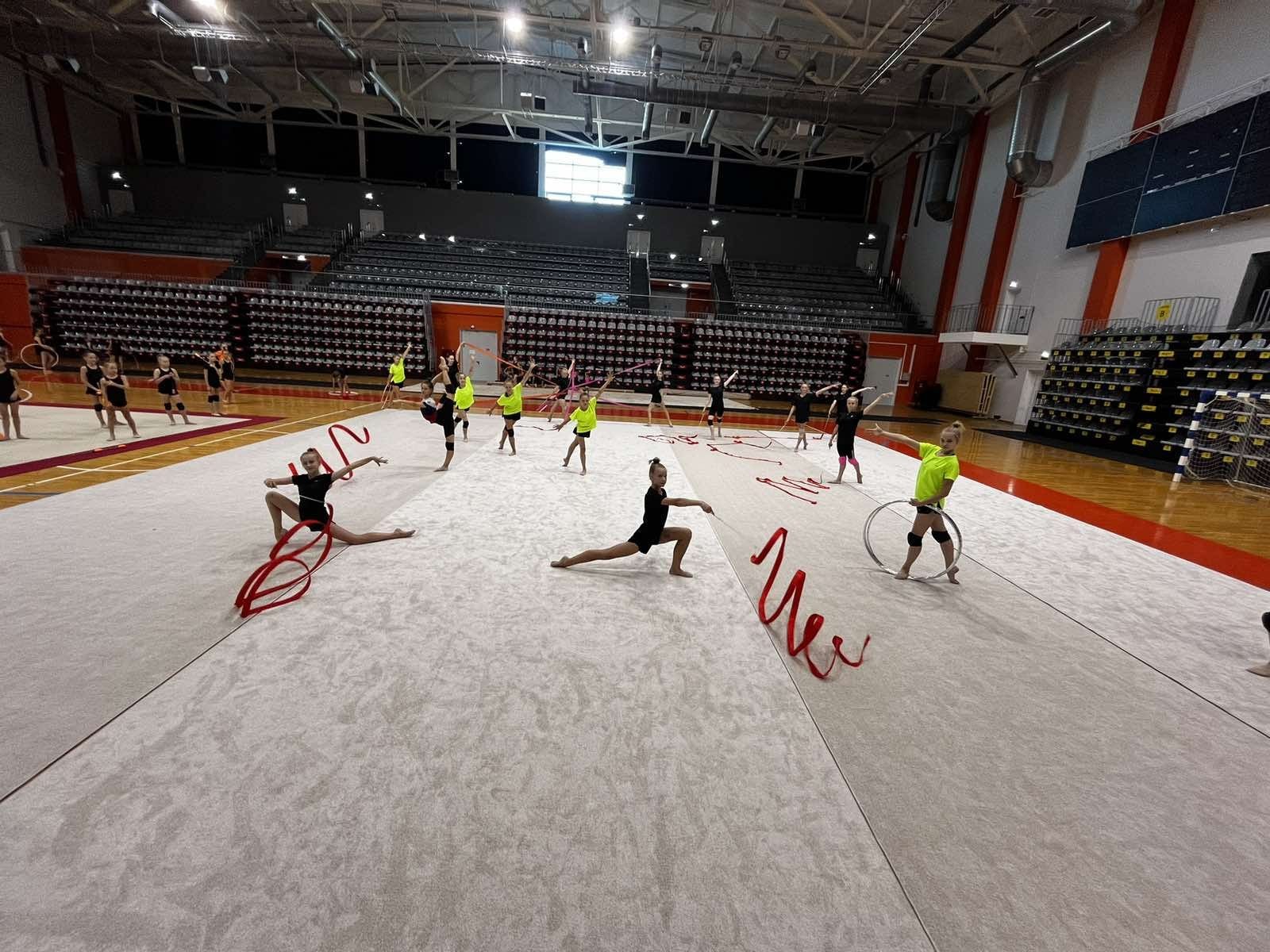 Ковер гимнастический GYMSPORT PROF 14Х14