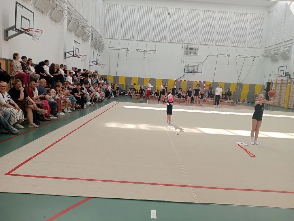 Ковер для художественной гимнастики GYMSPORT PROF NEW 14Х14
