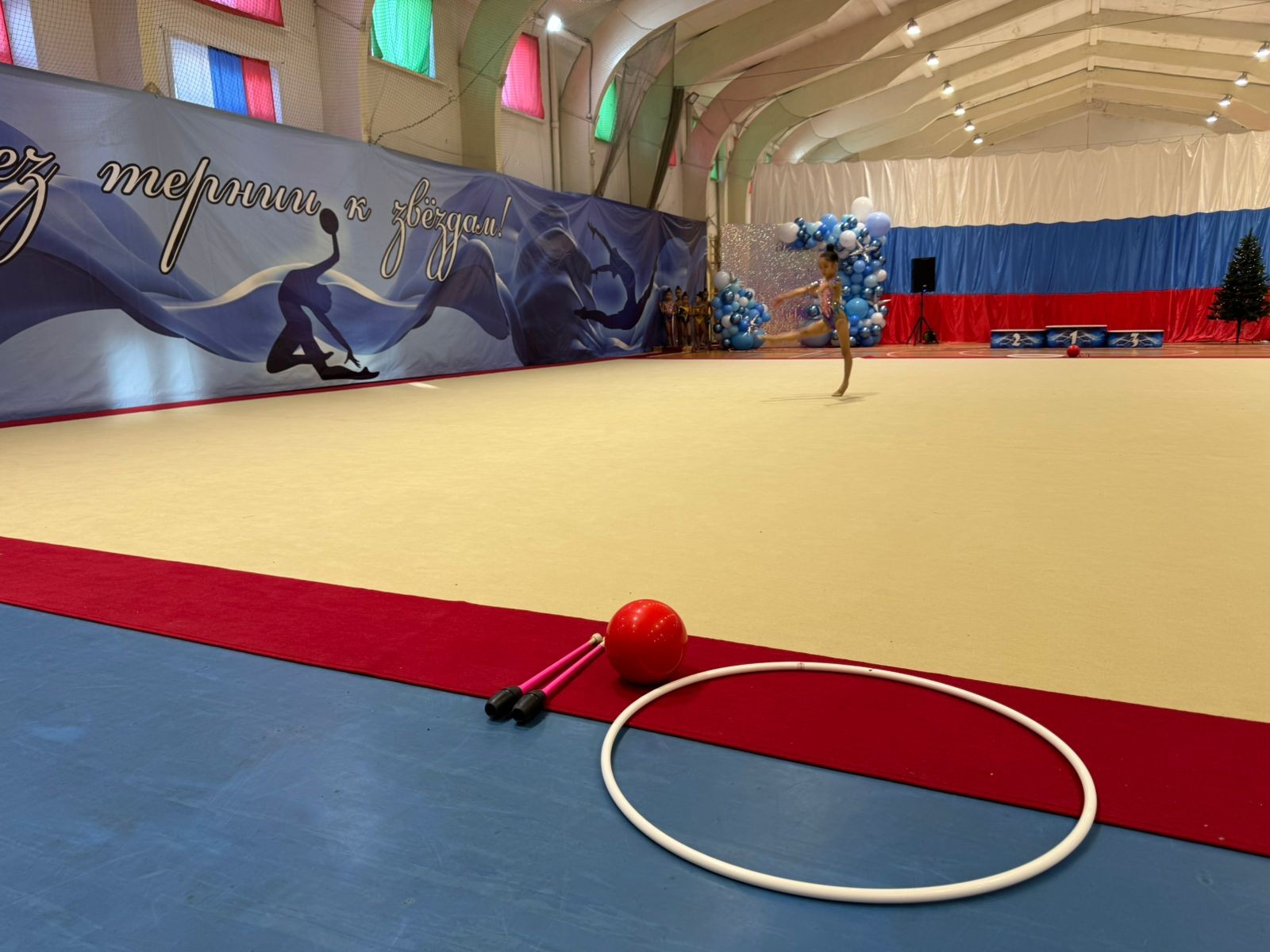 Соревновательный ковер для художественной гимнастики GYMSPORT PROF PREMIUM RED 14Х14