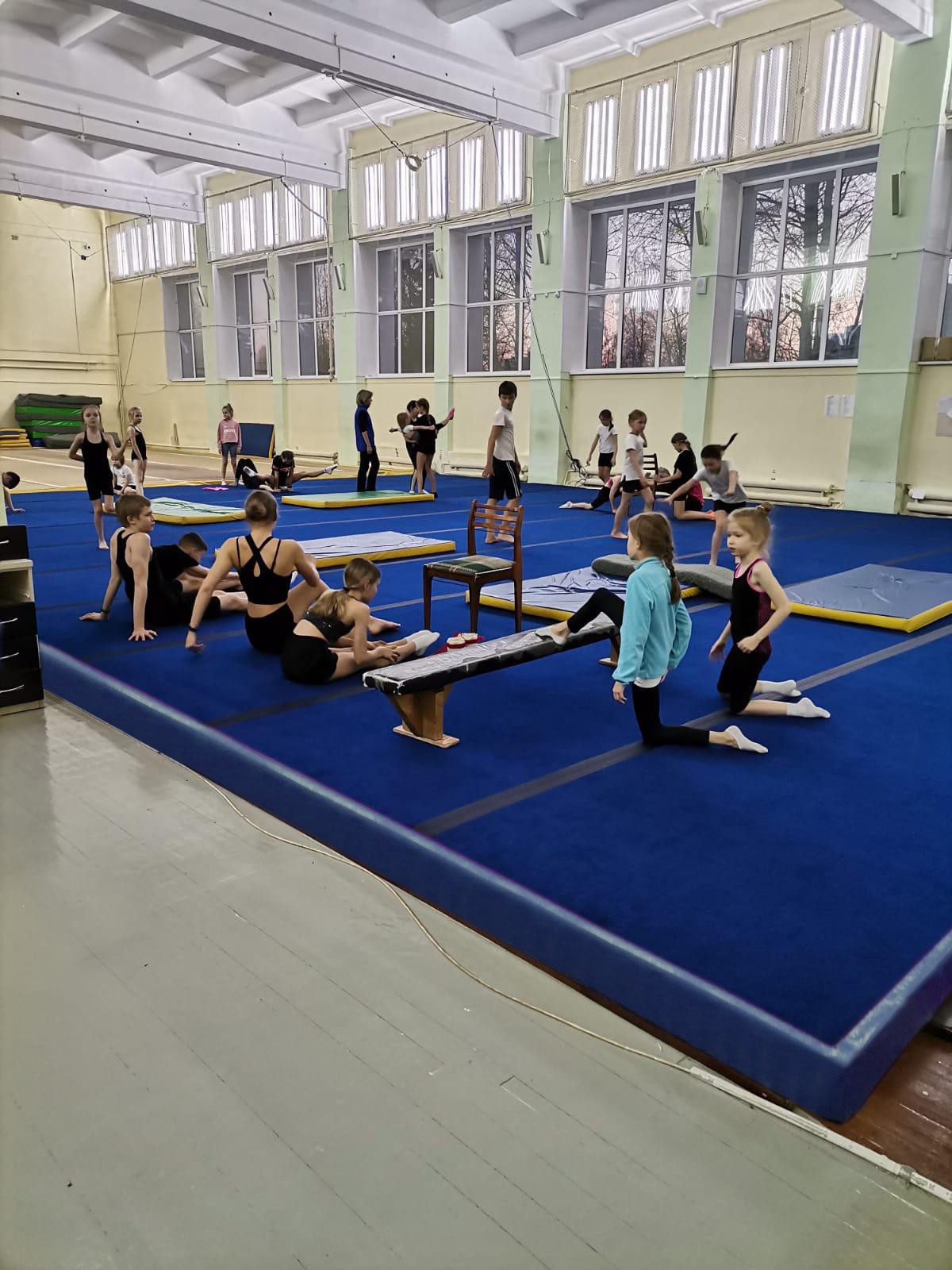Ковер для спортивной гимнастики GYMSPORT 14x14 Толщина 36 мм