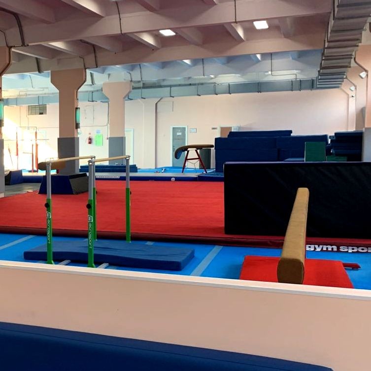 Ковер для спортивной гимнастики и акробатики GYMSPORT STRONG PREMIUM RED 14x14