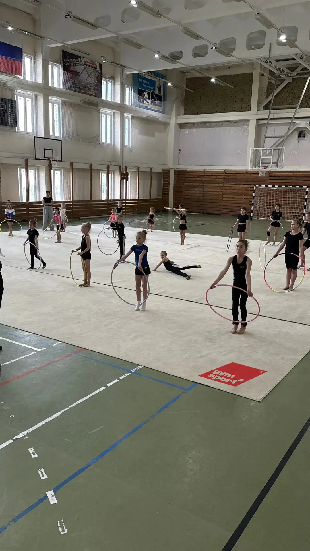 Ковер для художественной гимнастики GYMSPORT PROF NEW 14Х14