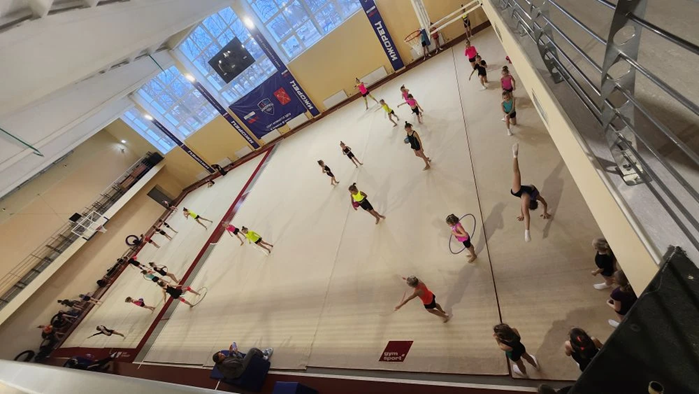 Ковер для художественной гимнастики GYMSPORT PROF NEW 14Х14
