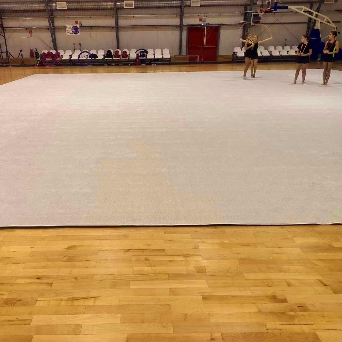 Ковер для художественной гимнастики GYMSPORT PROF NEW 14Х14