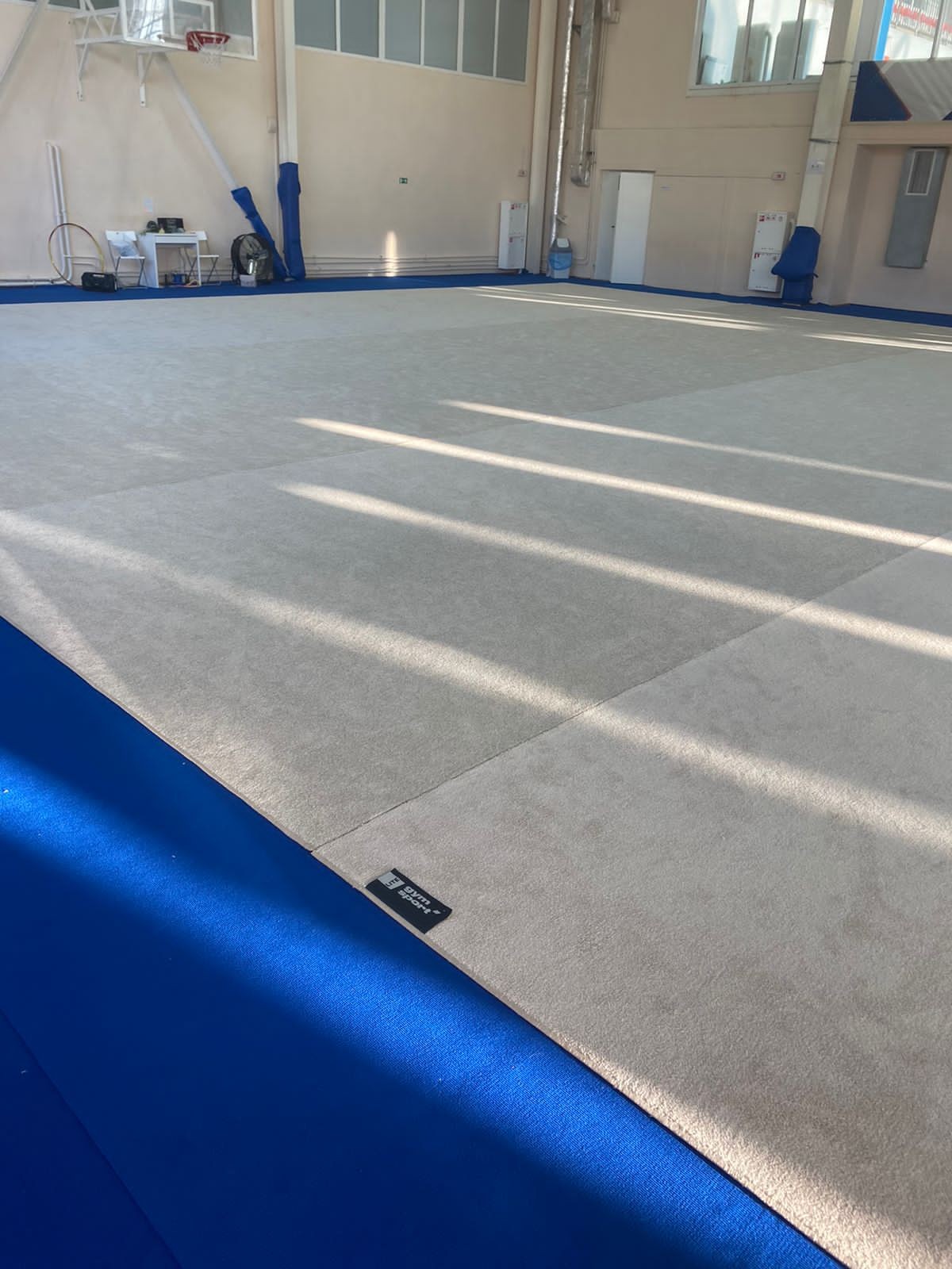 Ковер гимнастический GYMSPORT PROF 14Х14