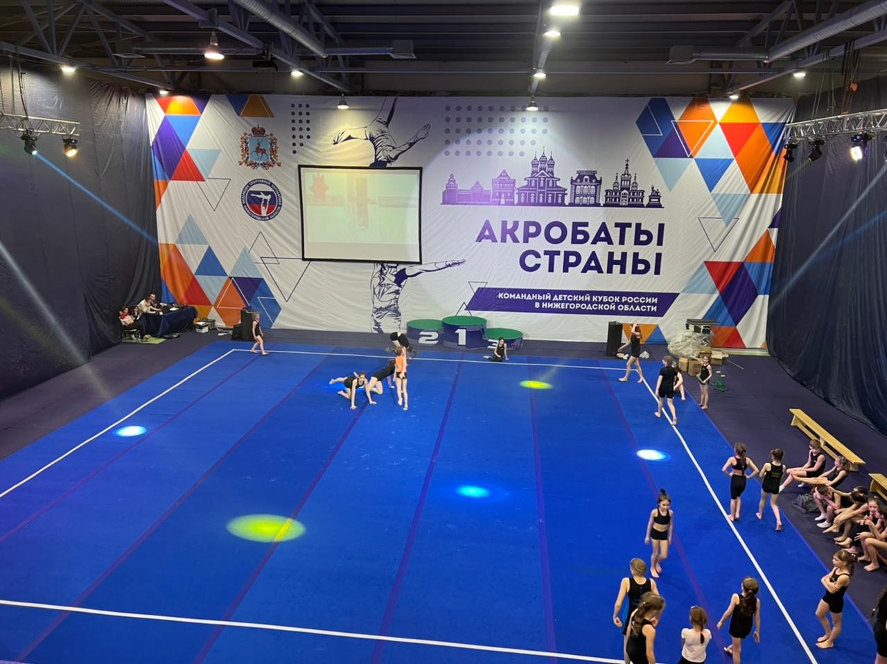 Ковер для спортивной гимнастики GYMSPORT 40 мм