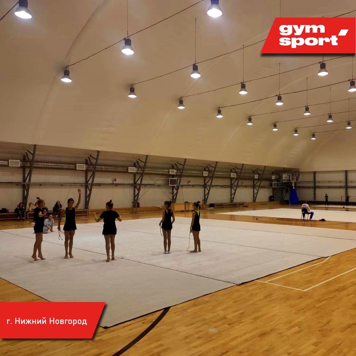 Ковер для художественной гимнастики GYMSPORT PROF NEW 14Х14