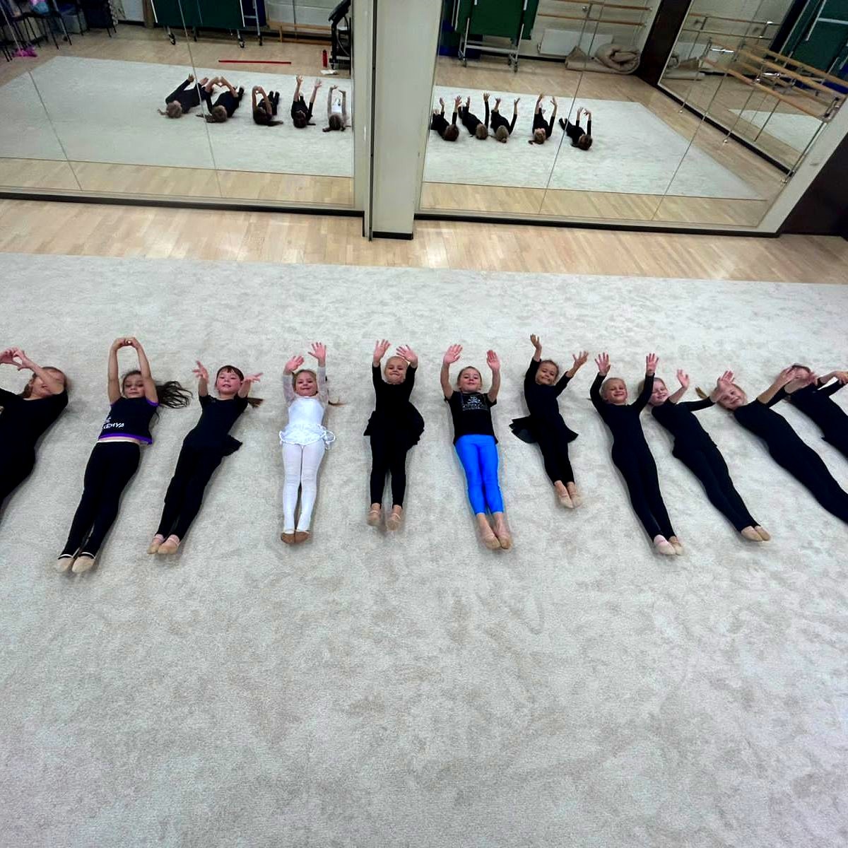 Ковер для художественной гимнастики GYMSPORT PROF NEW 14Х14