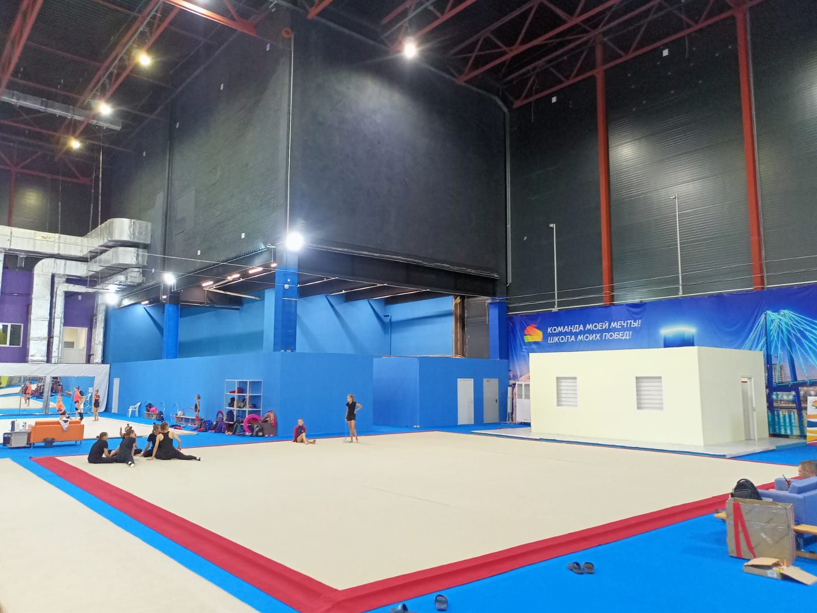 Соревновательный ковер для художественной гимнастики GYMSPORT PROF PREMIUM RED 14Х14