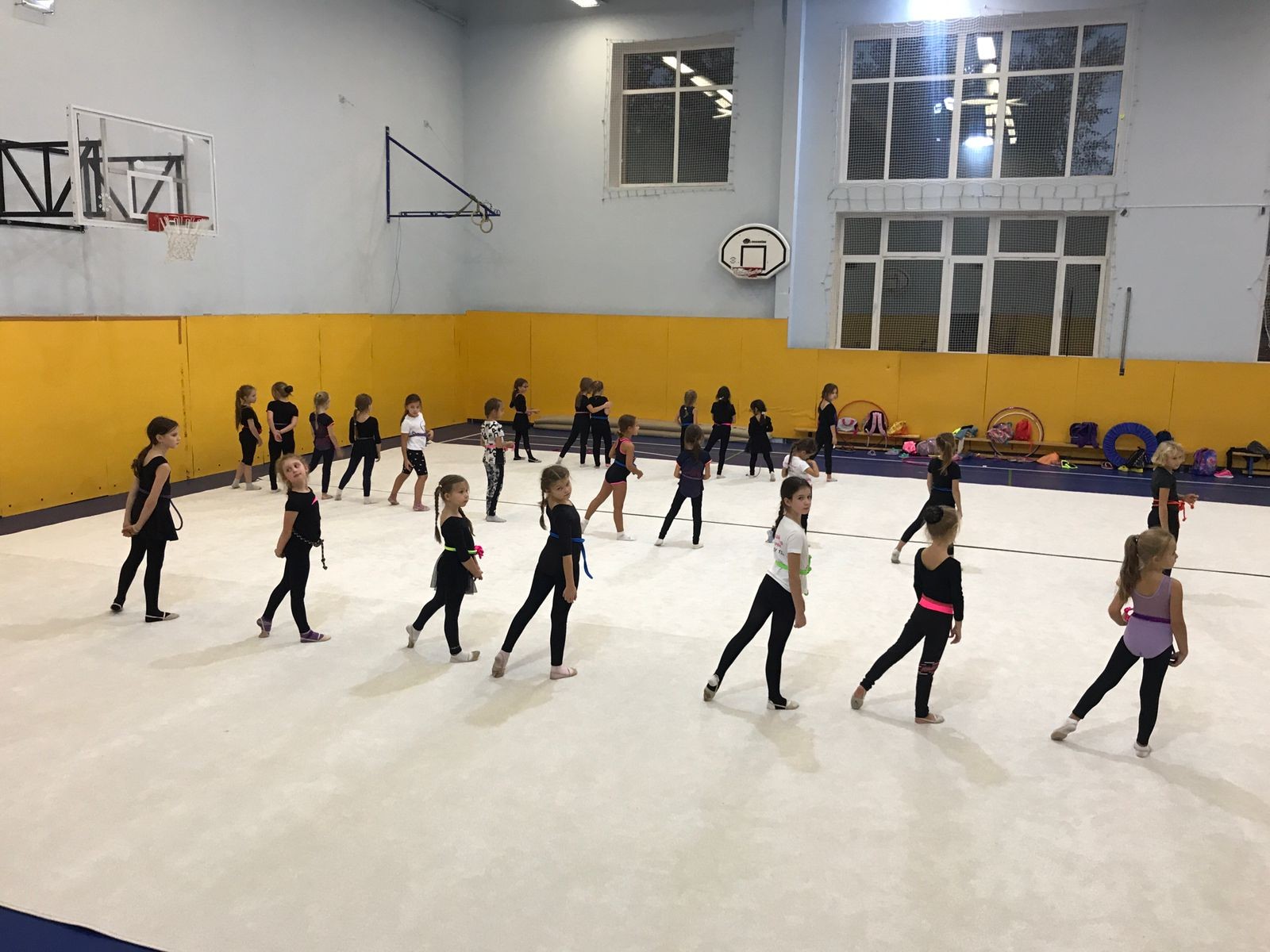 Ковер гимнастический GYMSPORT PROF 14Х14