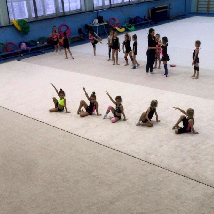 Ковер гимнастический GYMSPORT PROF 14Х14