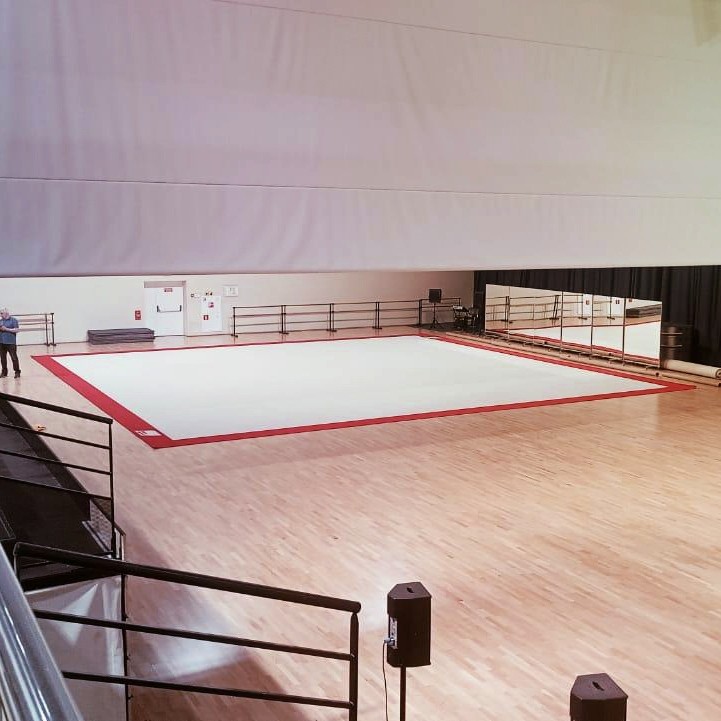 Соревновательный ковер для художественной гимнастики GYMSPORT PROF PREMIUM RED 14Х14