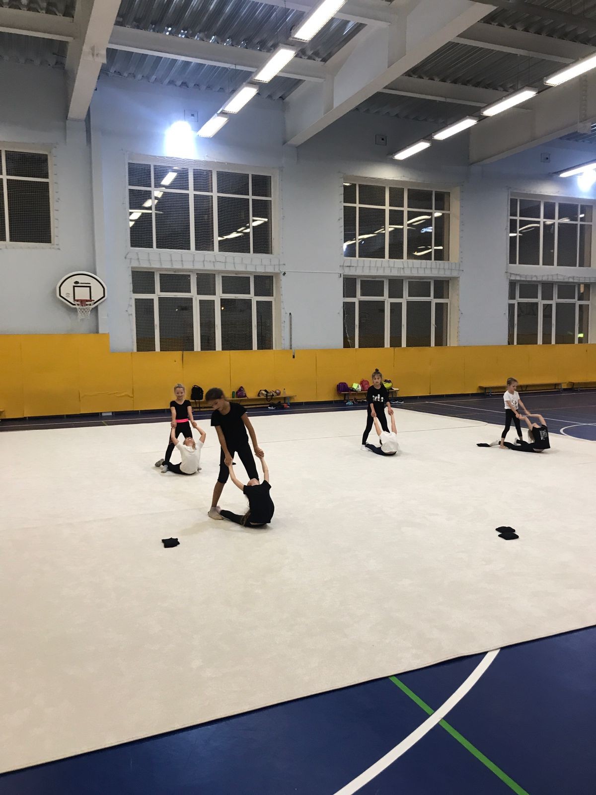 Ковер гимнастический GYMSPORT PROF 14Х14