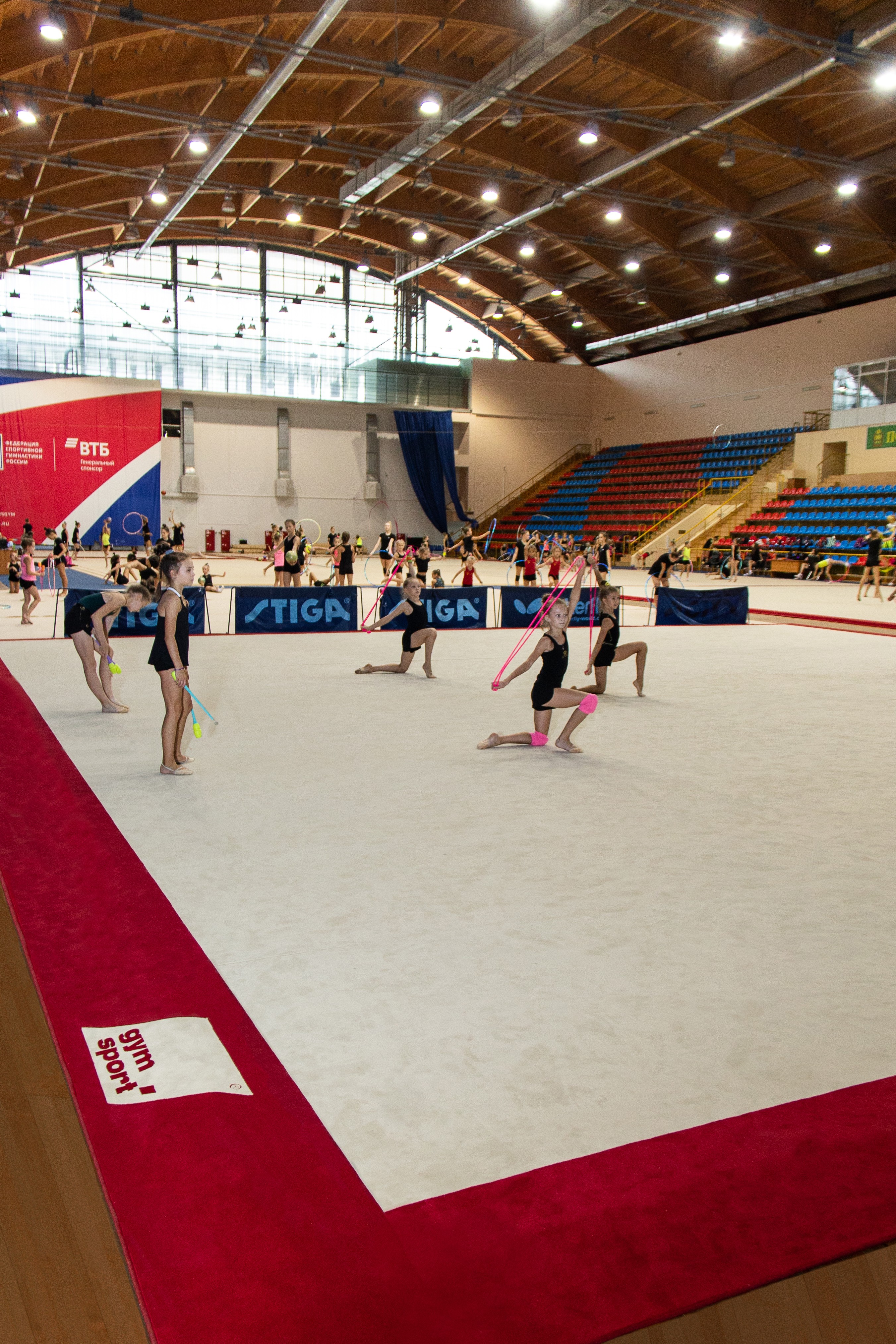 Соревновательный ковер для художественной гимнастики GYMSPORT PROF PREMIUM RED 14Х14