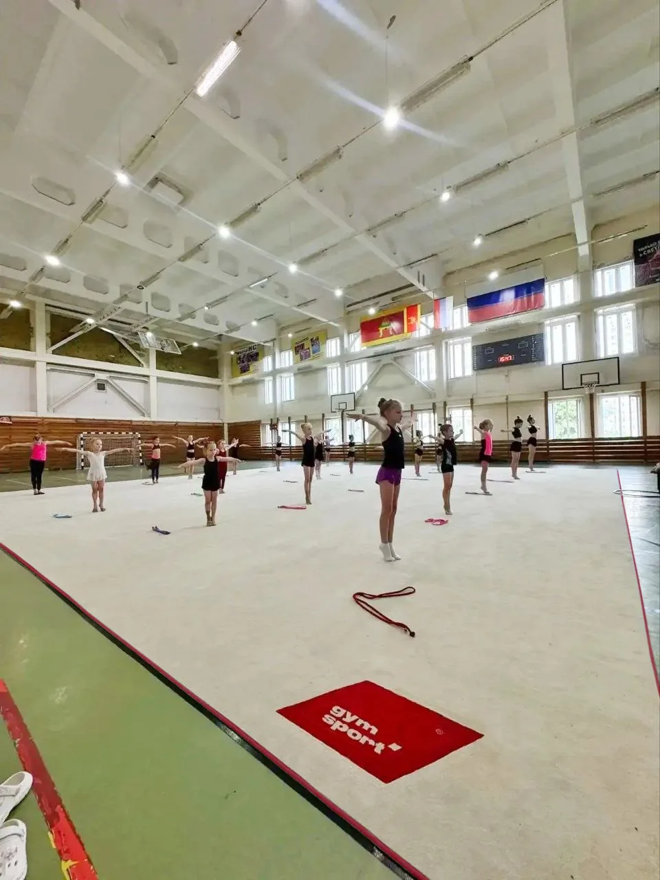 Ковер для художественной гимнастики GYMSPORT PROF NEW 14Х14