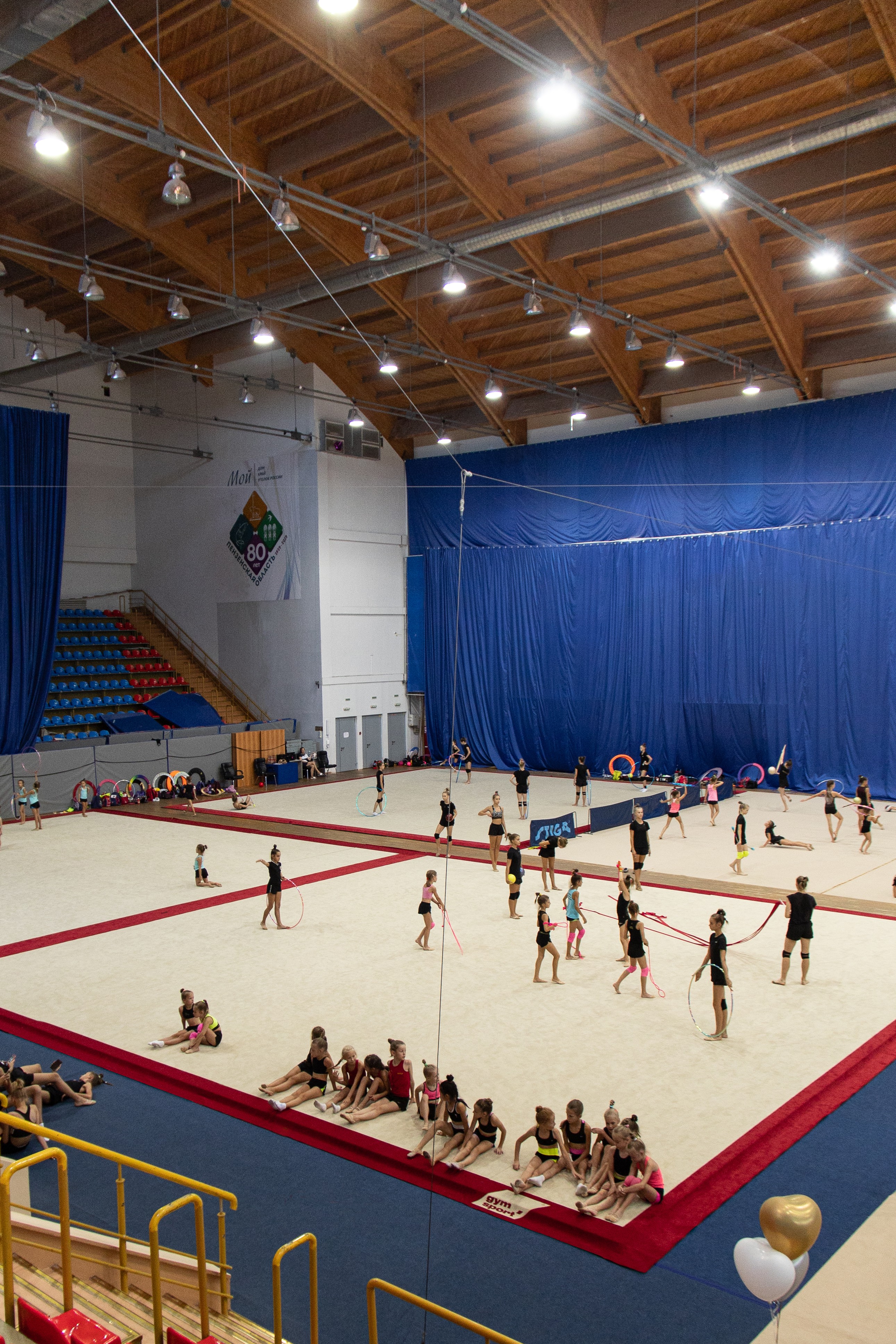 Соревновательный ковер для художественной гимнастики GYMSPORT PROF PREMIUM RED 14Х14