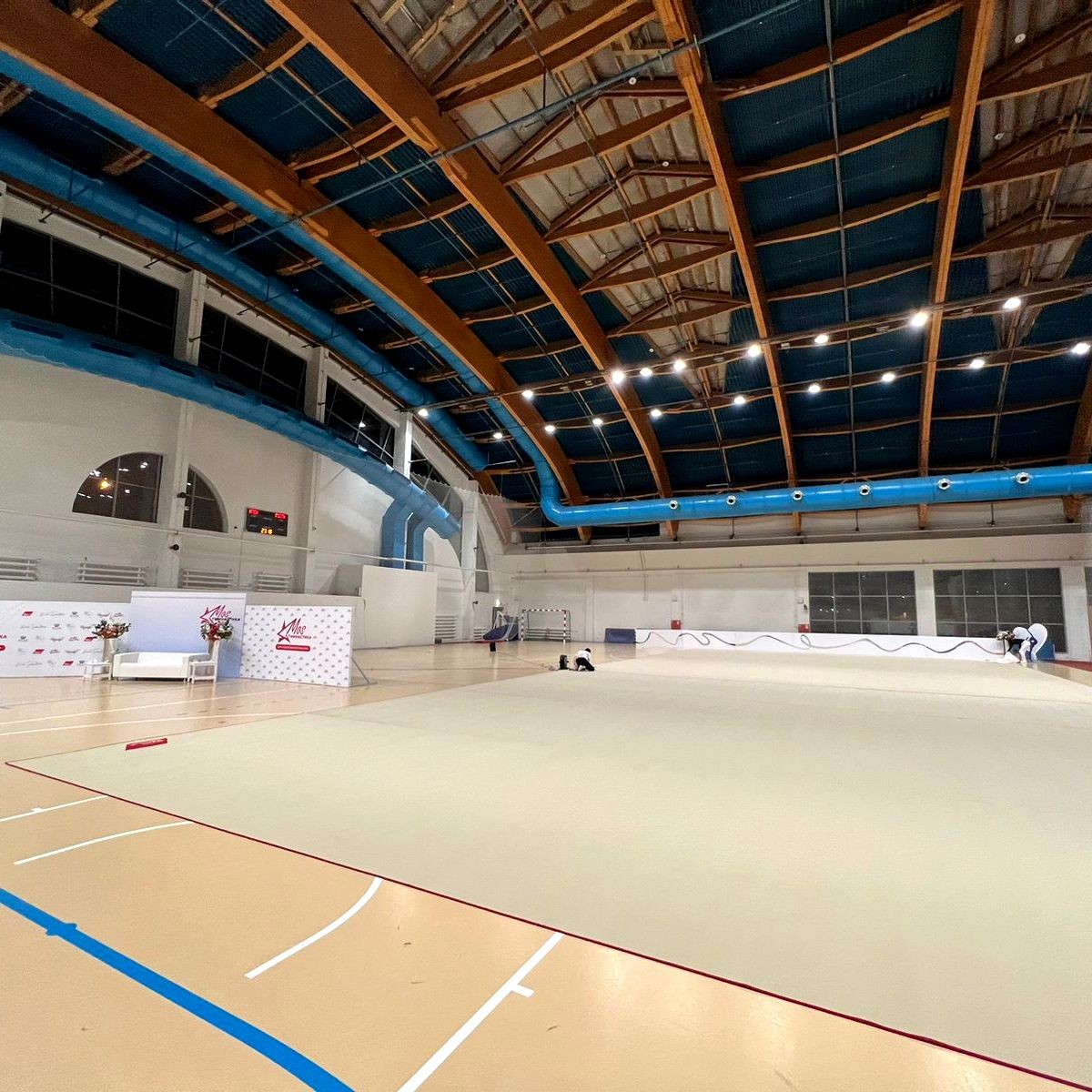 Ковер для художественной гимнастики GYMSPORT PROF PREMIUM 4х4м