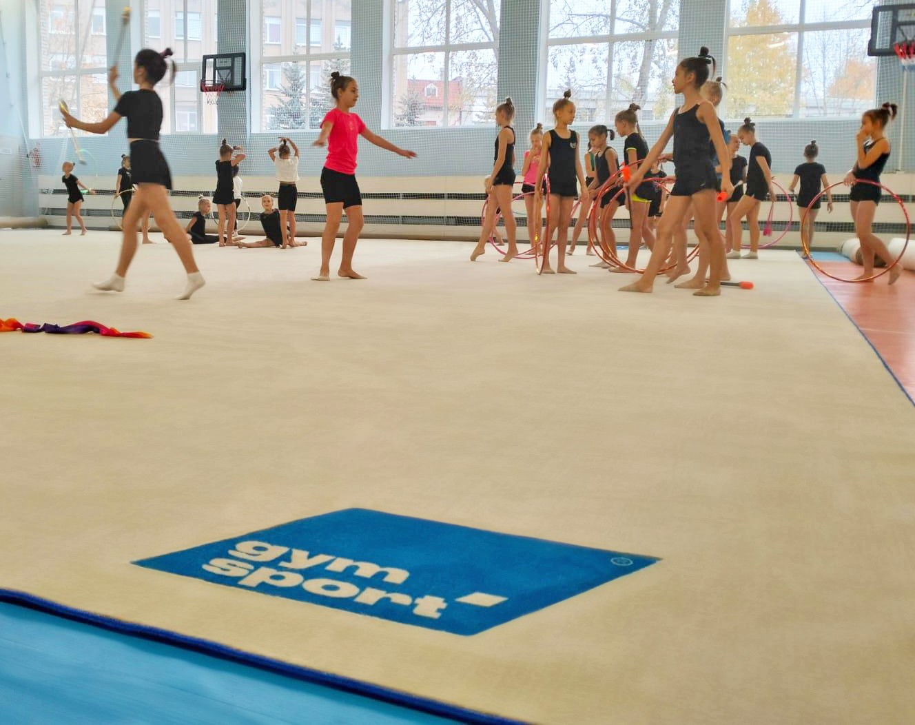 Ковер для художественной гимнастики GYMSPORT PROF NEW 14Х14