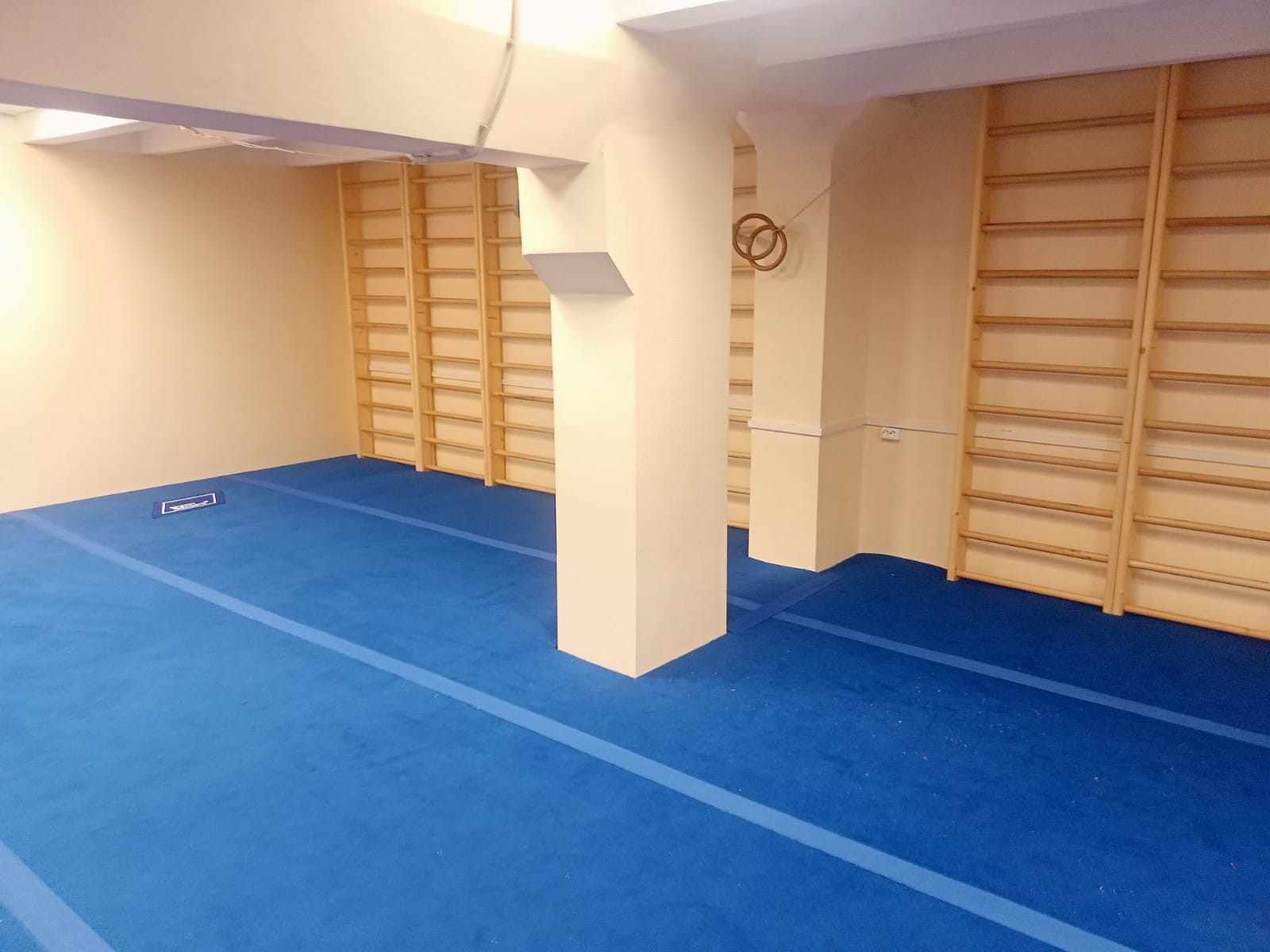 Ковер для спортивной гимнастики и акробатики GYMSPORT STRONG 14x14