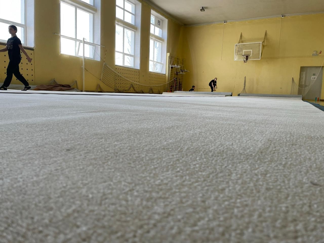 Ковер гимнастический GYMSPORT PROF 14Х14